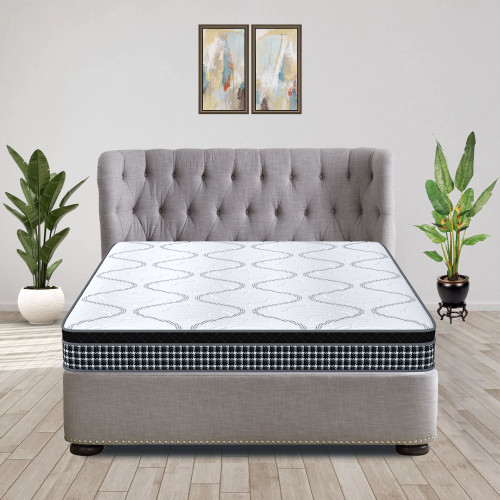 Rejuvenate euro top pocket spring